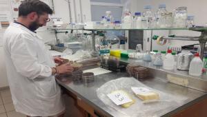 Ultime Notizie Influenza Intestinale News