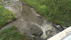 Ultime Notizie Poirino News Cronaca Ed Eventi