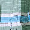 The Real Madras Short