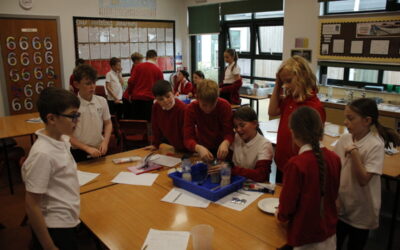 Science with Y6