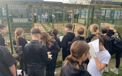 Y6 Outdoor Learning Day