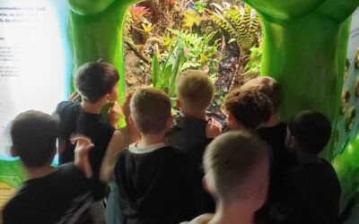 Sleepover at The Deep with Y3!