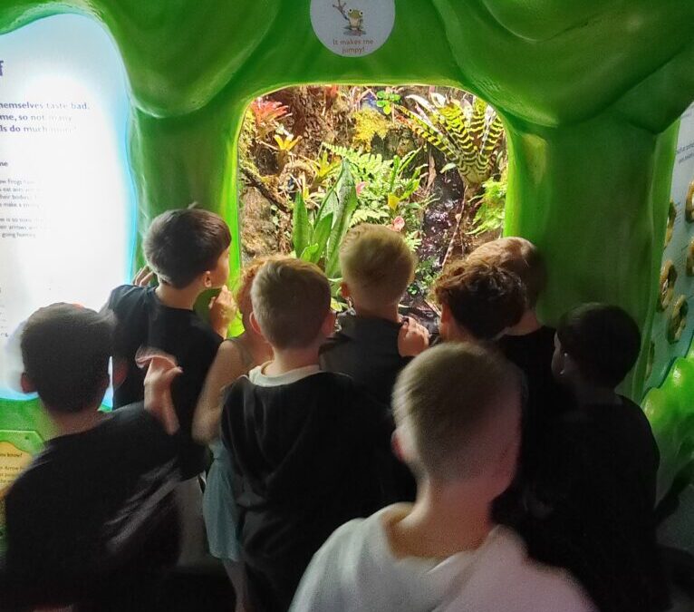 Sleepover at The Deep with Y3!