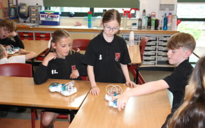 Y6 Hydrogen Cars