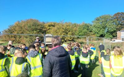The Importance Of The Haven with Y5