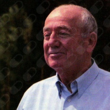 Halmos Péter - fül-orr-gégész