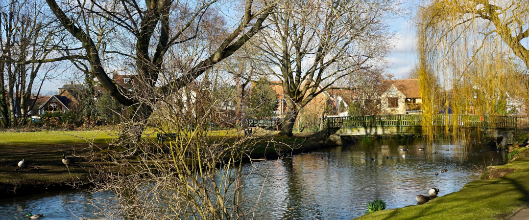 Area Image