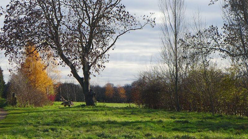 Stotfold-Watermill-and-Nature-Reserve--Bedfordshire