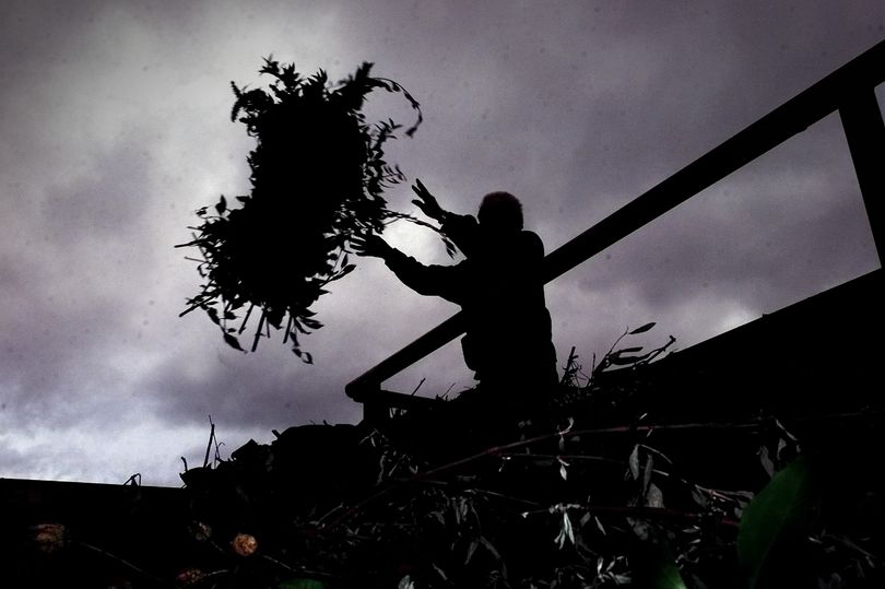 West Berkshire gardeners could be hit with green waste collection charge