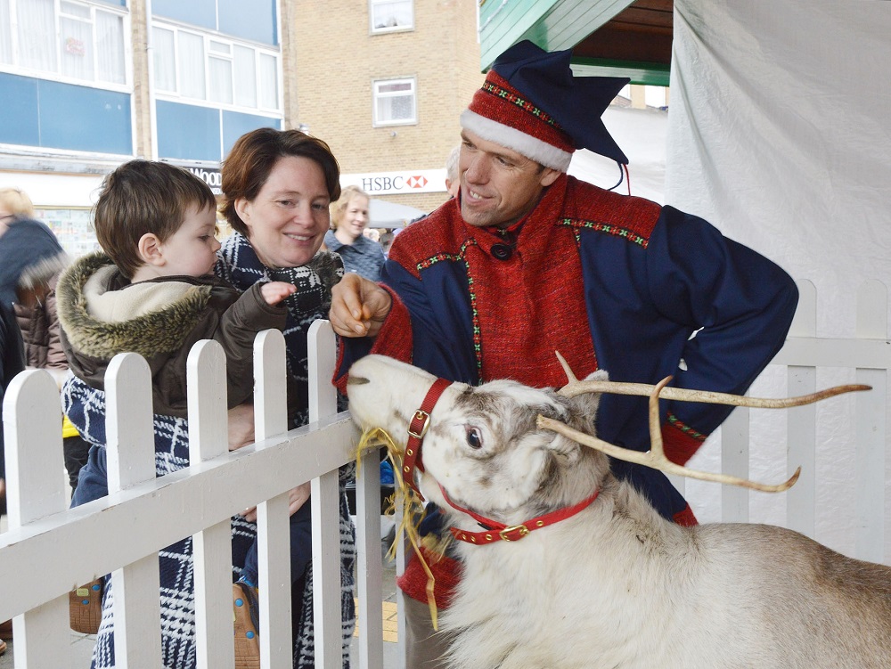Reindeer