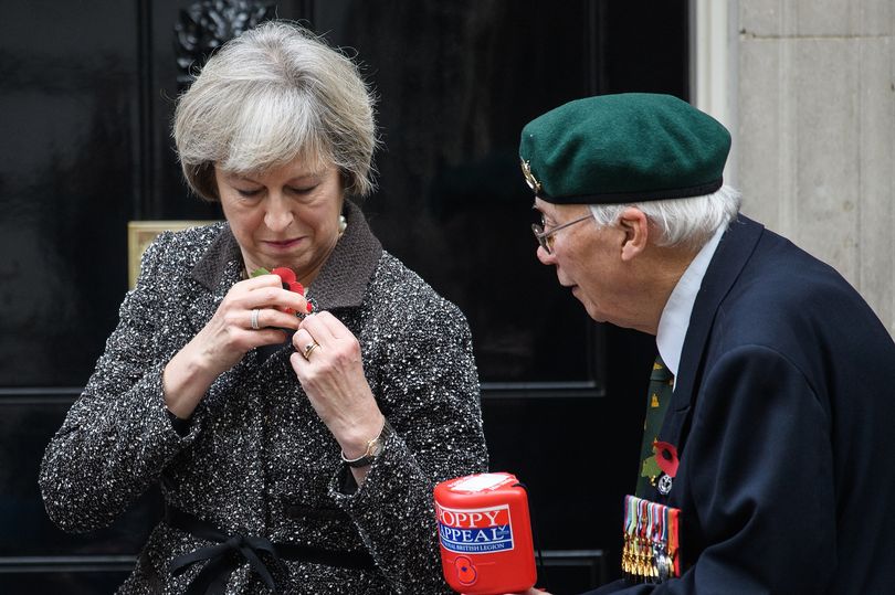 Everything you need to know about poppy etiquette