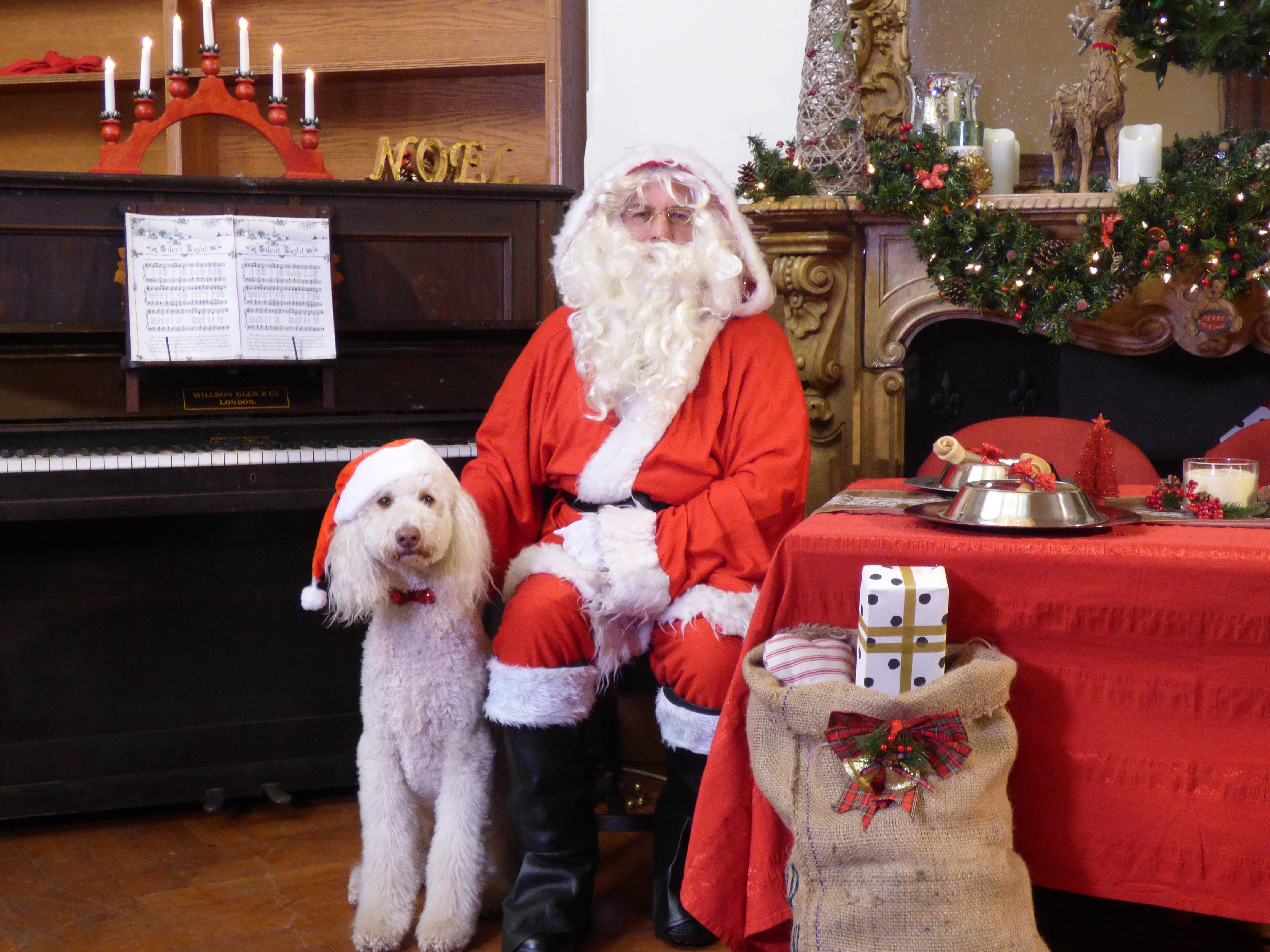 Bring your dog to meet Father Christmas at Santa Paws event in Englefield Green