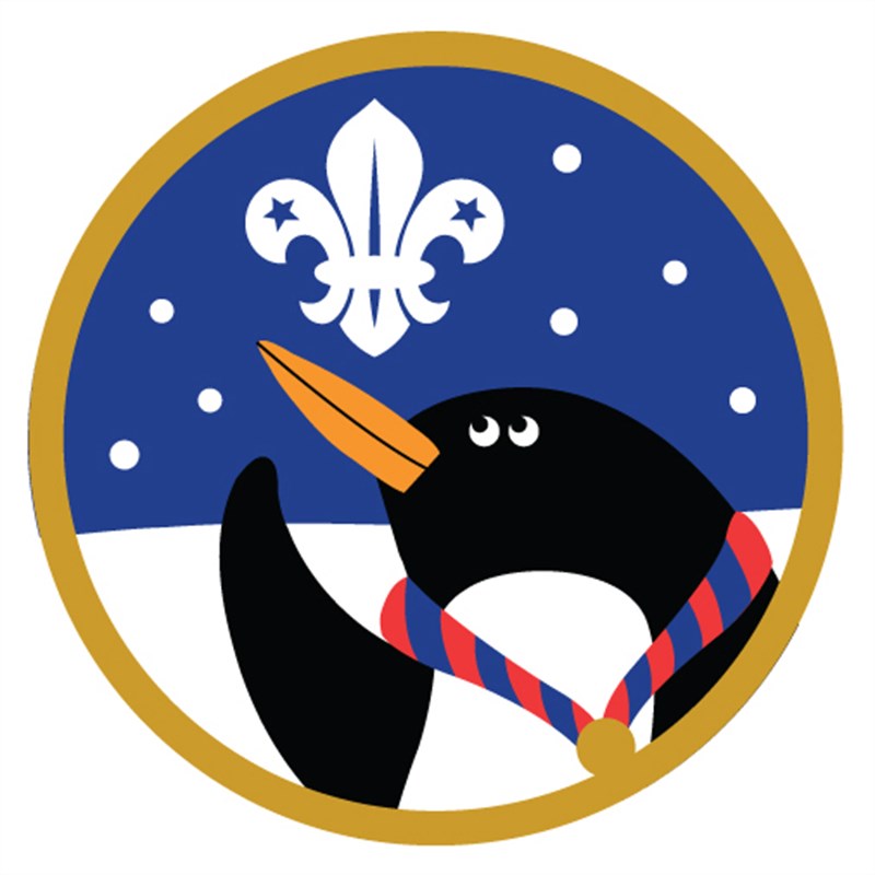 Details of Reading Scouts annual fundraising postal service across Caversham