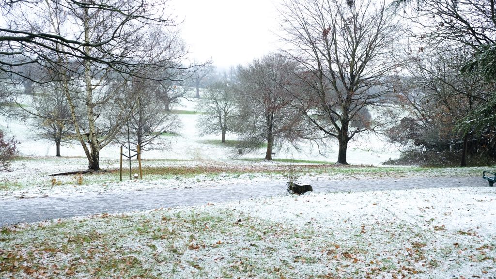 Yellow warning issued as snow hits Berkshire