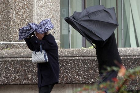 Travel delays and phone signal failures expected as high winds hit Berkshire