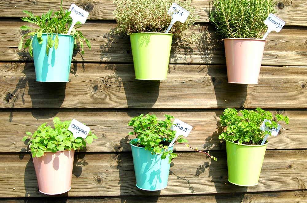 Learn all about growing herbs at Tilehurst gardening talk