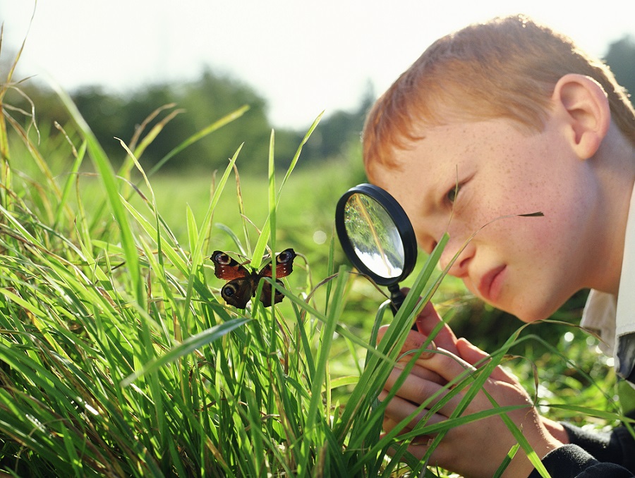 Learn about tiny living creatures at West Berkshire Museum
