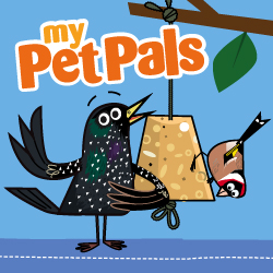 Visit the Wild Bird Workshop in Bracknell