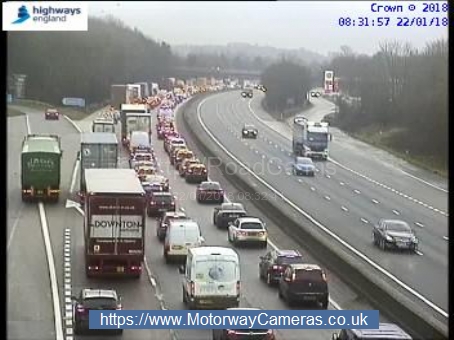 Three horses die after M4 crash which caused huge rush hour queues