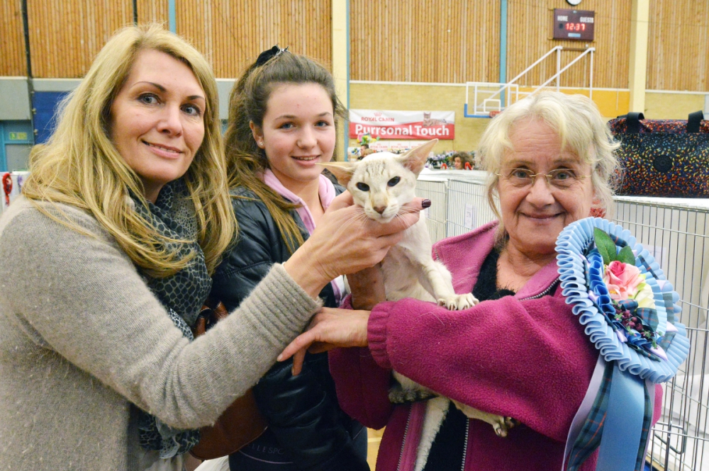 Huge cat show coming to Reading this weekend