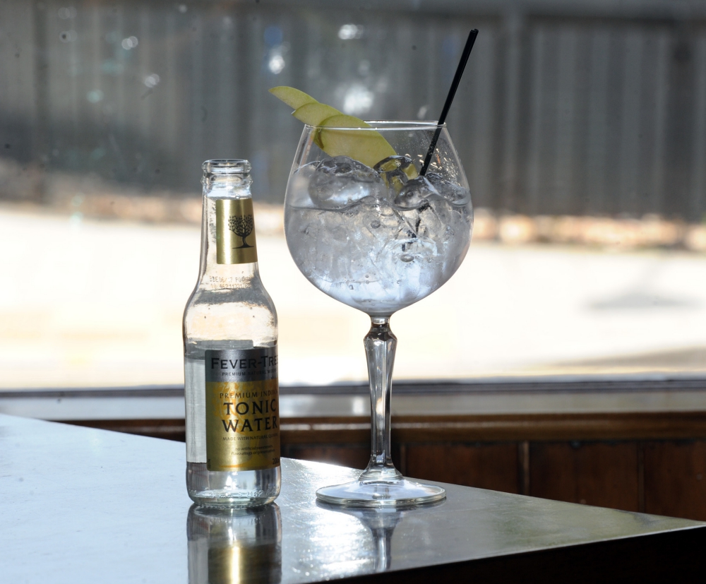 Try a range of new gins at Reading tasting event