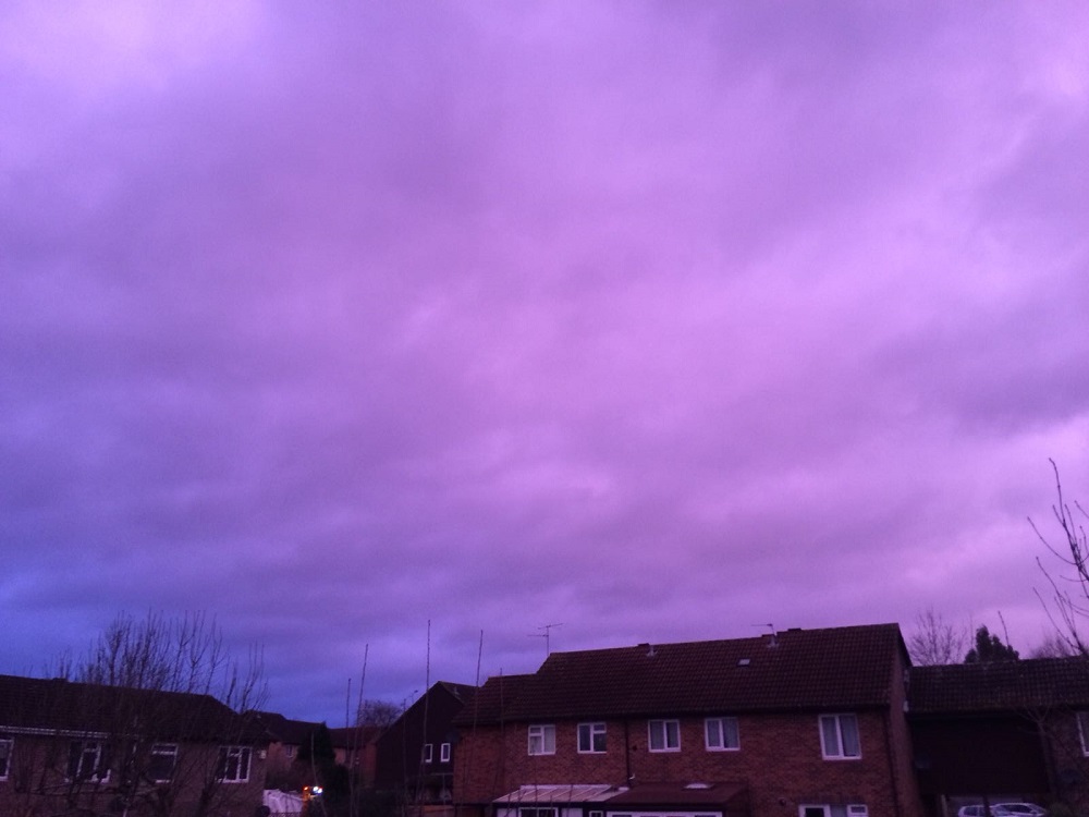 Pink-skies-_130218--2-