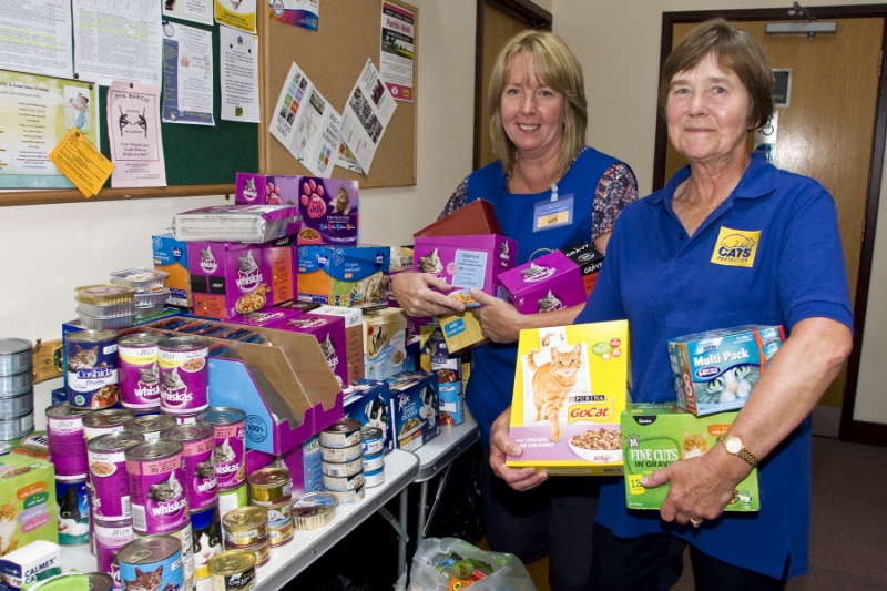 Support Cats Protection at Winkfield spring fair