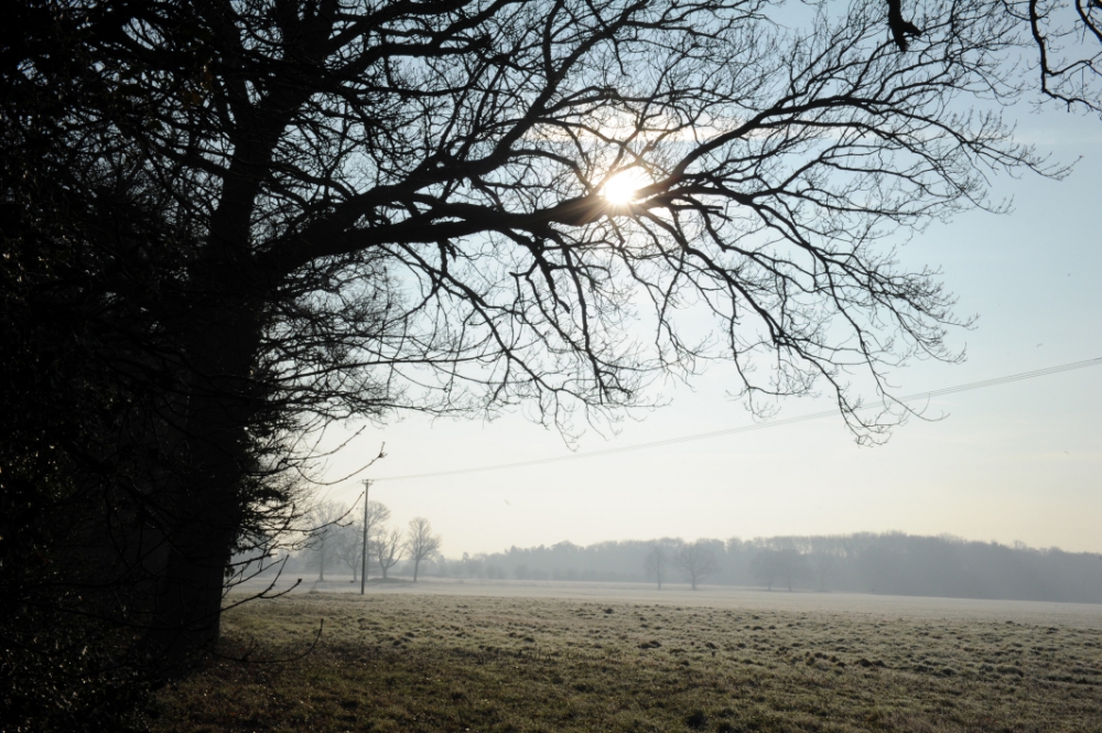 Bitter weekend for Berkshire forecast as latest cold snap hits
