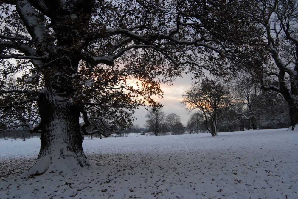 Chill tightens grip on Berkshire as UK faces most severe weather for 27 years