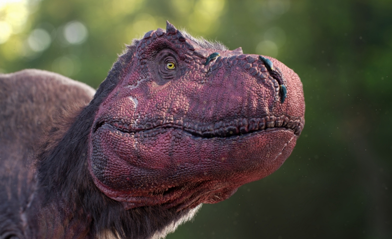 tw-dinosaur-feb2
