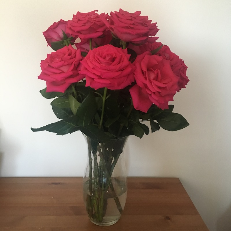 tw-roses-feb1
