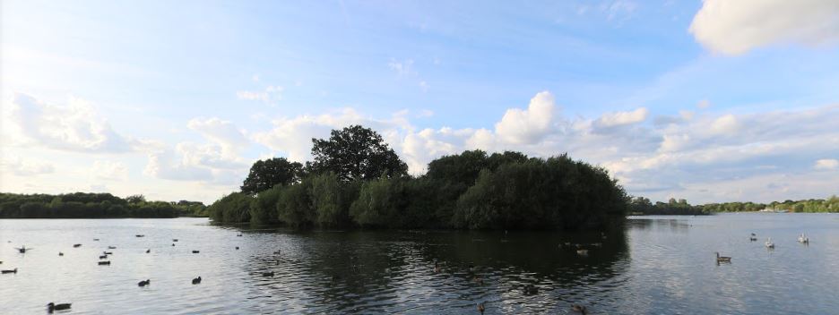 Crazy golf plans for country park and 120 homes in Arborfield among Wokingham applications