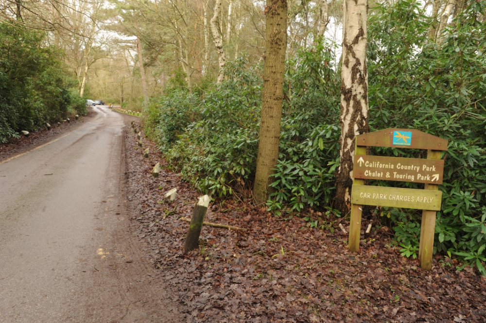 Improvements to California Country Park delayed