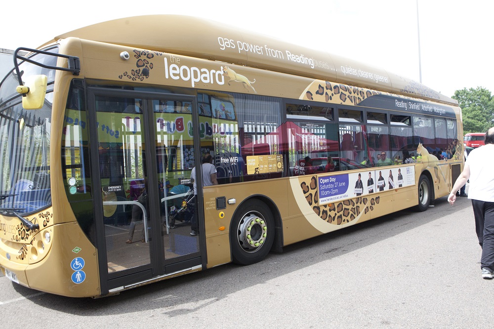 Leopard-buses-_140318