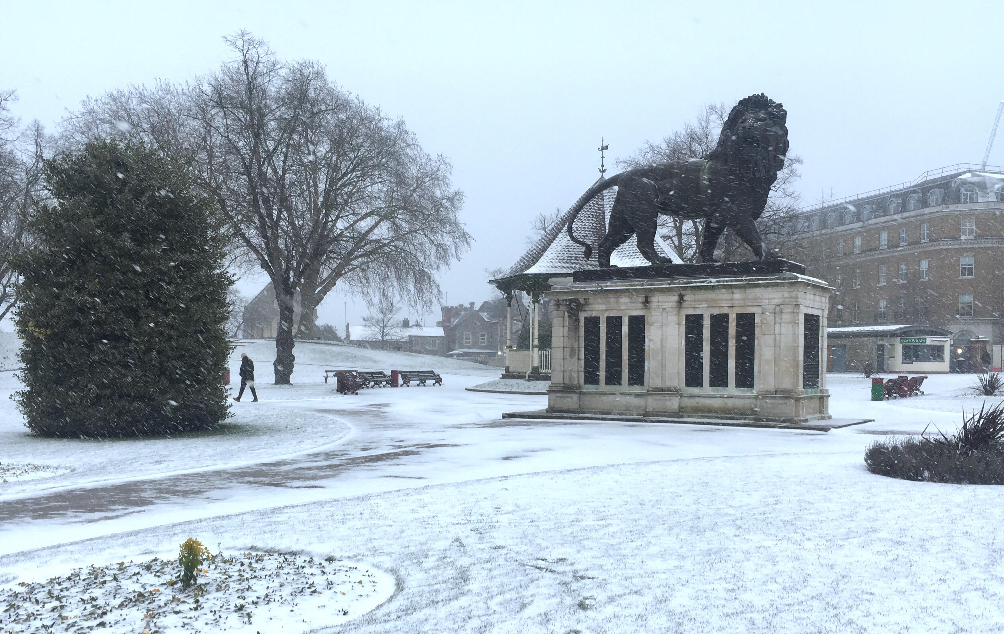 Maiwand-Lion-Snow-James-Cooke_010318
