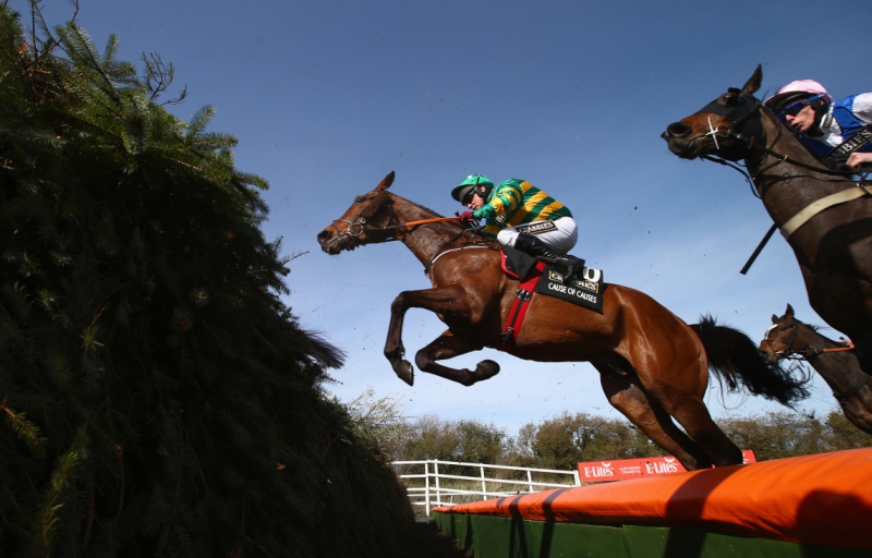Enjoy the Grand National at WADE day centre event