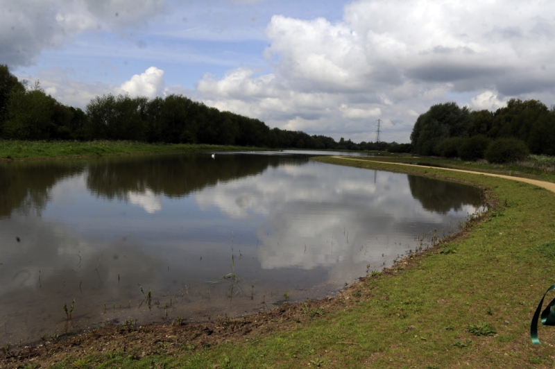Go bird watching and pond dipping at Fobney Island wild day