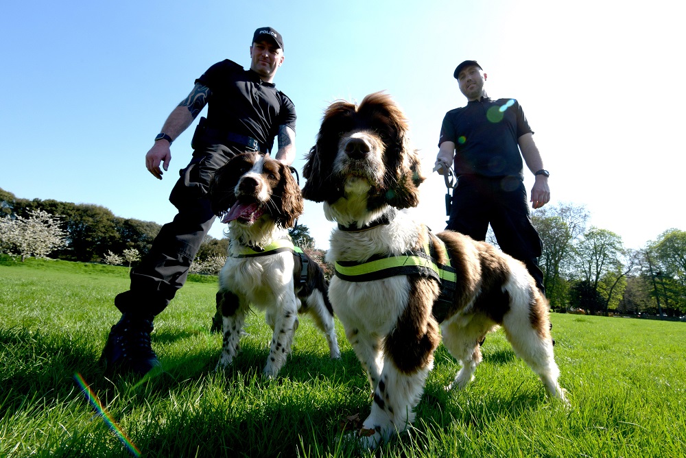 Policing-royal-wedding-_260418--4-