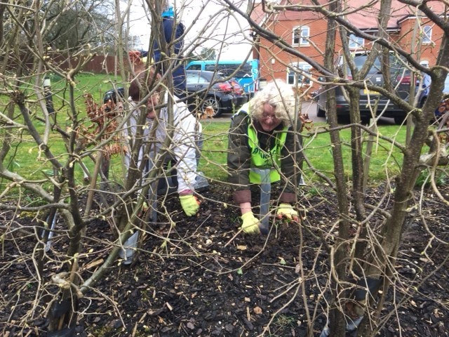 Rotarians-planting-saplings-at--Bluebells-resized