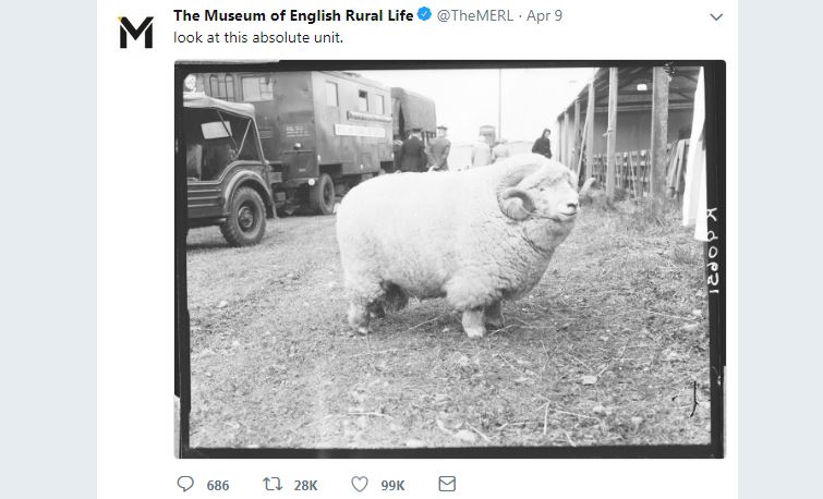 Episode 13 of the Real Reading Podcast looks at the MERL tweet which broke the internet