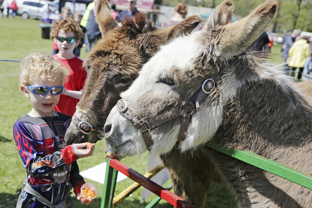 Tilehurst-Festival-_-240418--5-