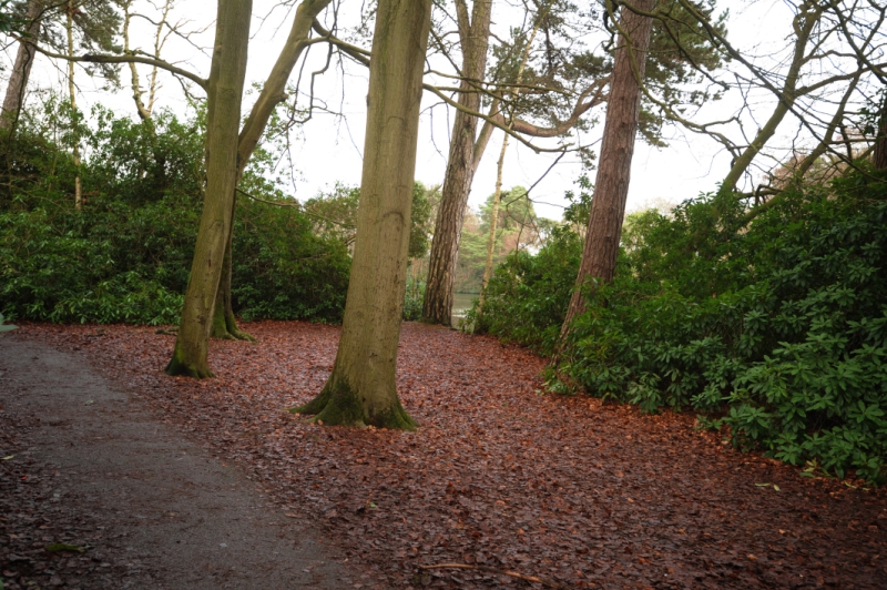 Join in with the May Bank Holiday Finchampstead stroll