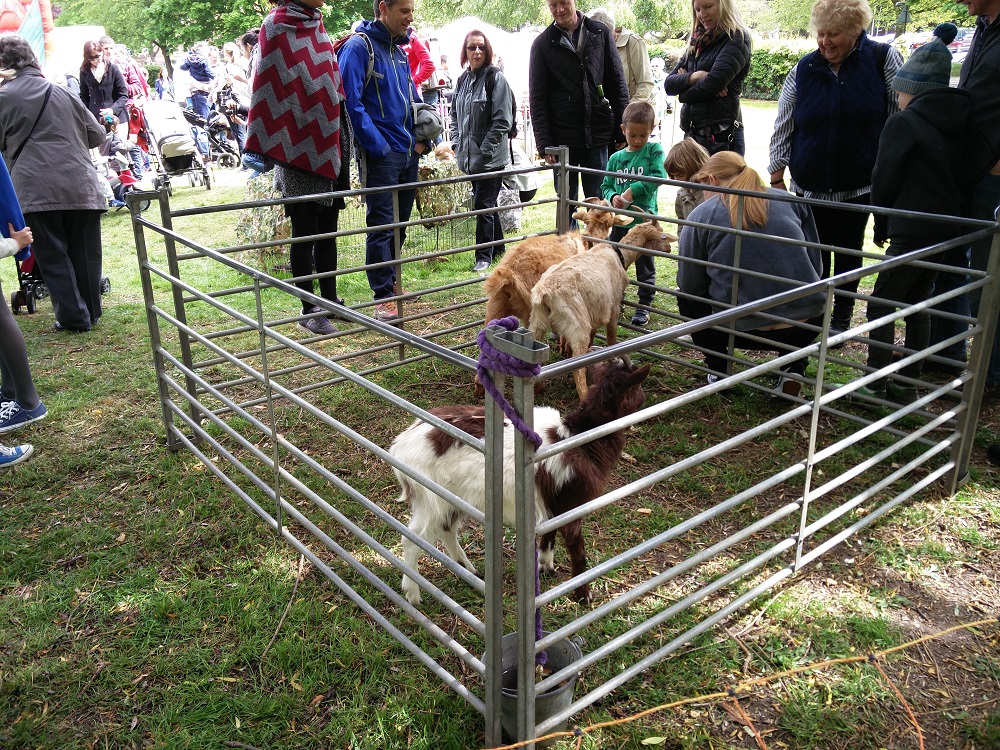wokingham-fayre-_050418--3-