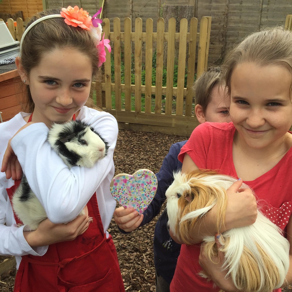 Guinea-pig-wedding-_110518--1-