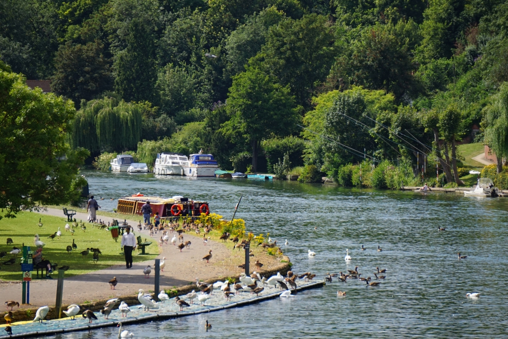 Lincoln set for Bank Holiday scorcher