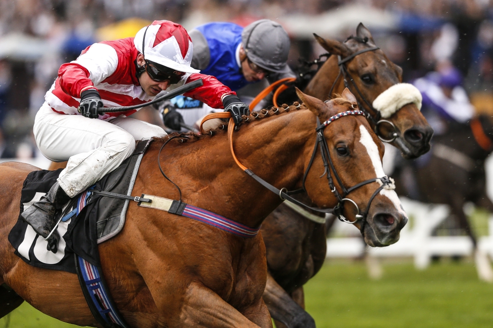 ascot-racecourse-horses-_290518