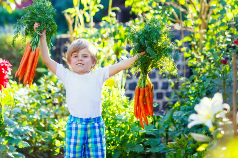 Bracknell to play host to Chelsea Fringe gardening events