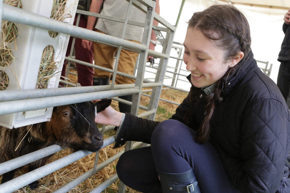 Berkshire-Country-Show-GR-_010618--2-