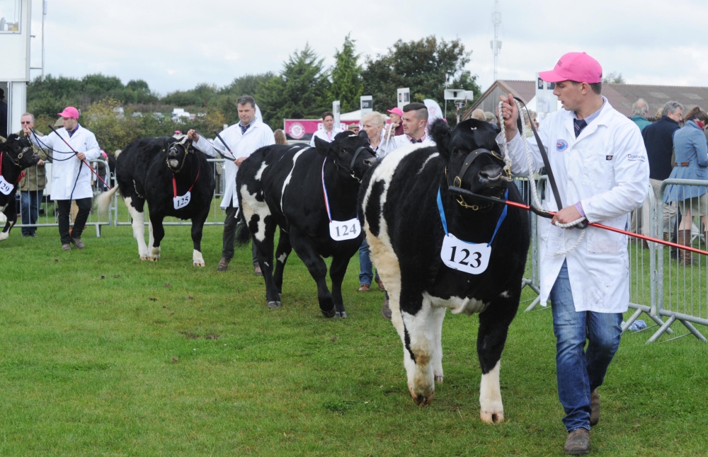 Berkshire-Country-Show-GR-_010618--4-