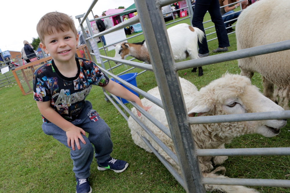 Woodley-Carnival-_010618--2-